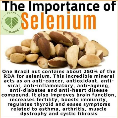 brazil nuts selenium benefits
